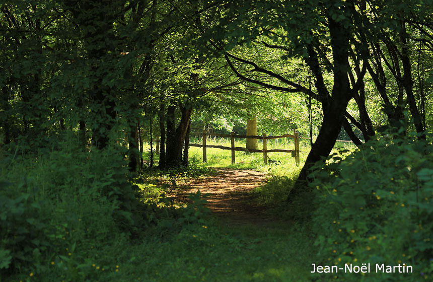 Domaine de Fresnoy nestling in nature under the trees in Loison-sur-Créquoise