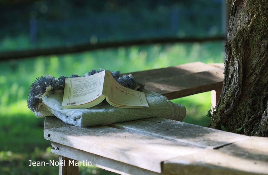 Seek out the quiet little corner under the walnut tree - perfect for hiding with a book!