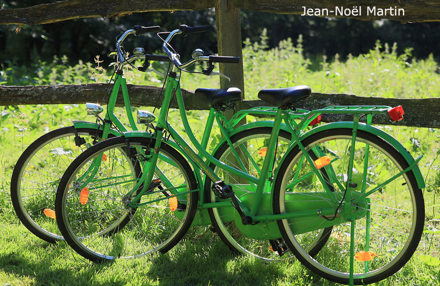Enjoy a bit of cycling during your stay at Domaine de Fresnoy in Loison-sur-Créquoise