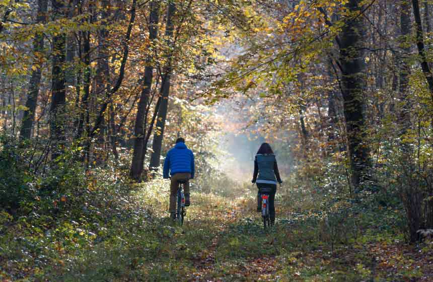 Borrow our bikes and head off on a freewheeling adventure exploring the stunning Samoussy forest nearby